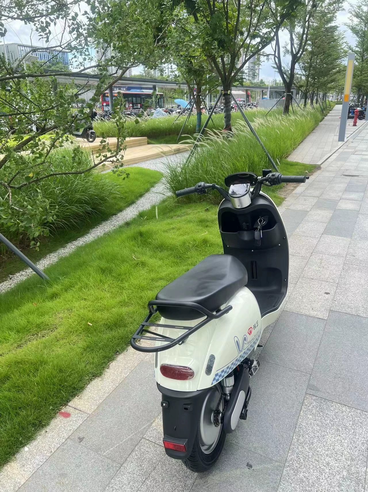 [新车二手价，便宜出]个人闲置，家里人不需要了，来有缘人转让一下。上坡有力，配锂电池48v25a，续航50左右。家用接送小孩跑外卖都行。